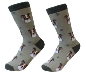 Papillon Dog Socks