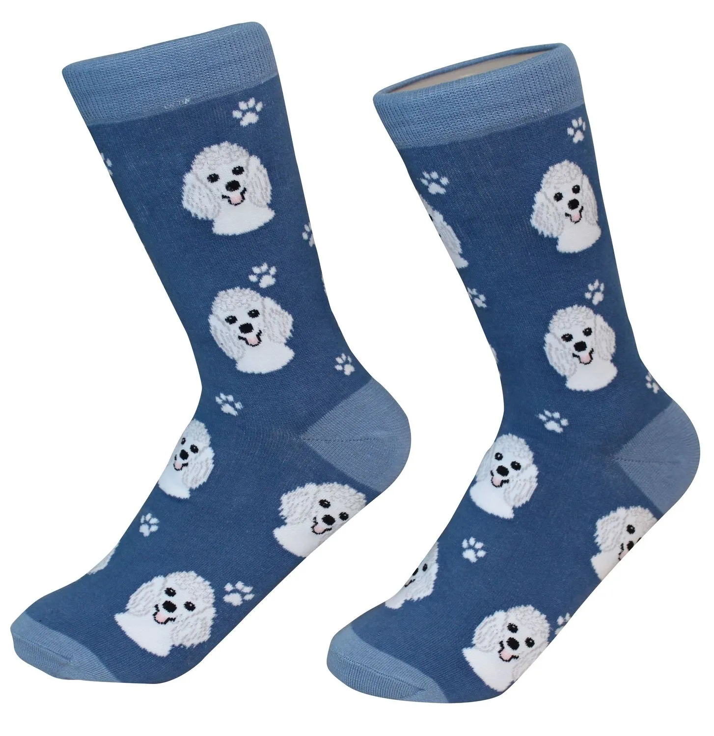 Poodle, White Socks