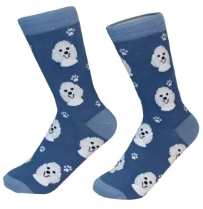 Poodle, White Socks